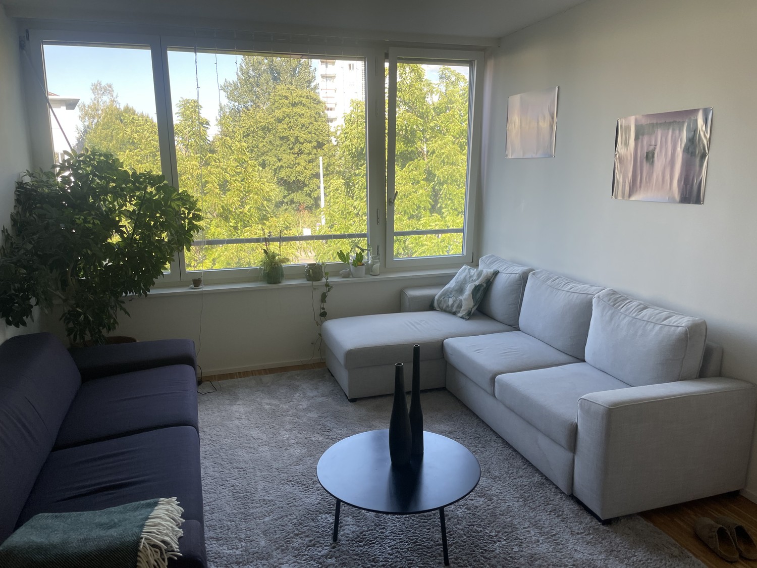 Room in a shared flat