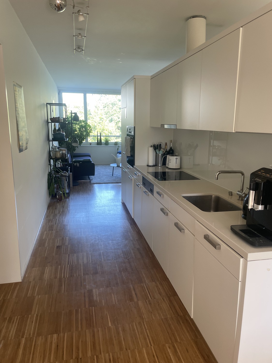 Room in a shared flat
