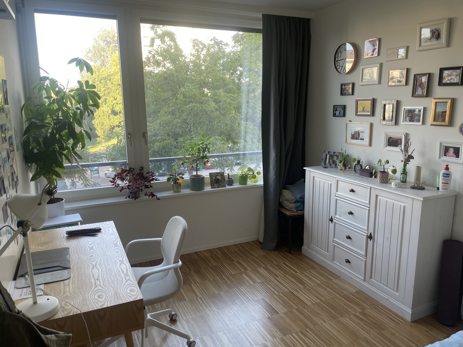 Room in a shared flat