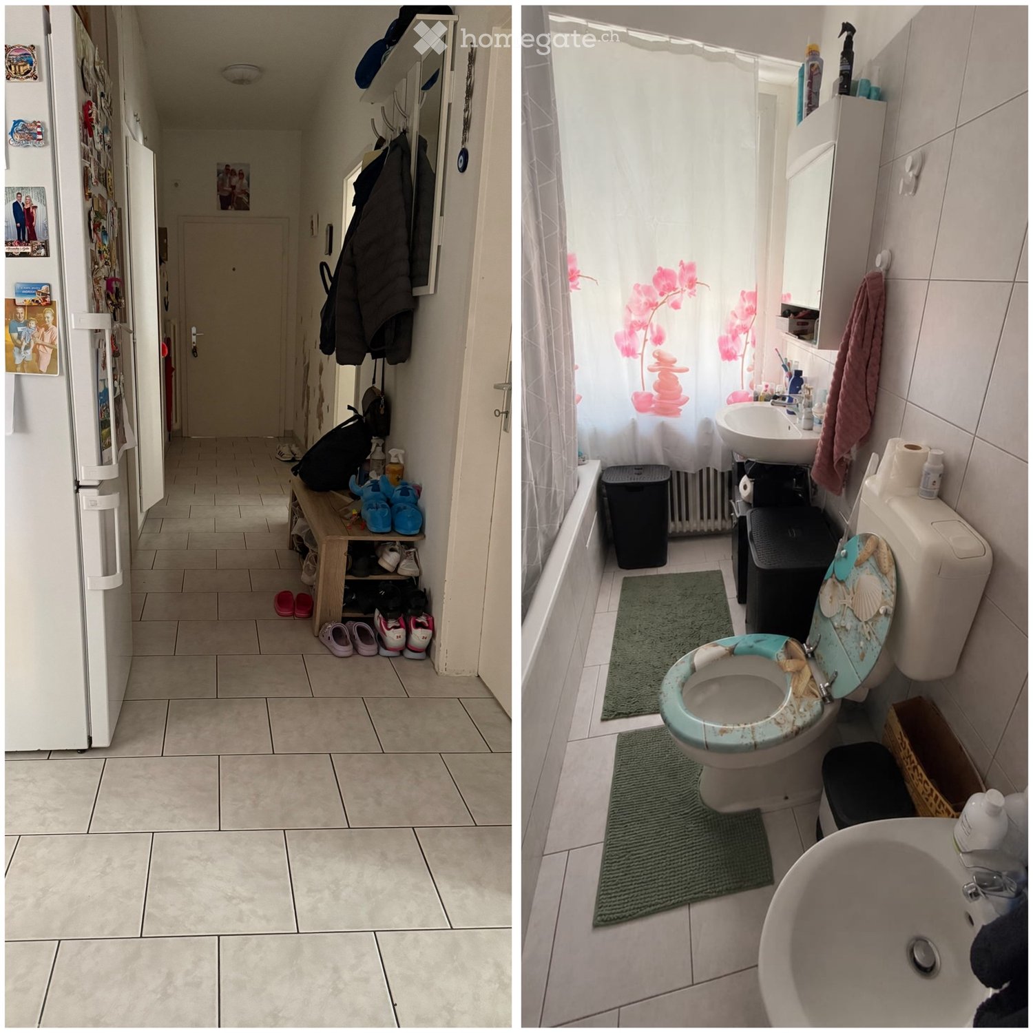appartement 3 pièces