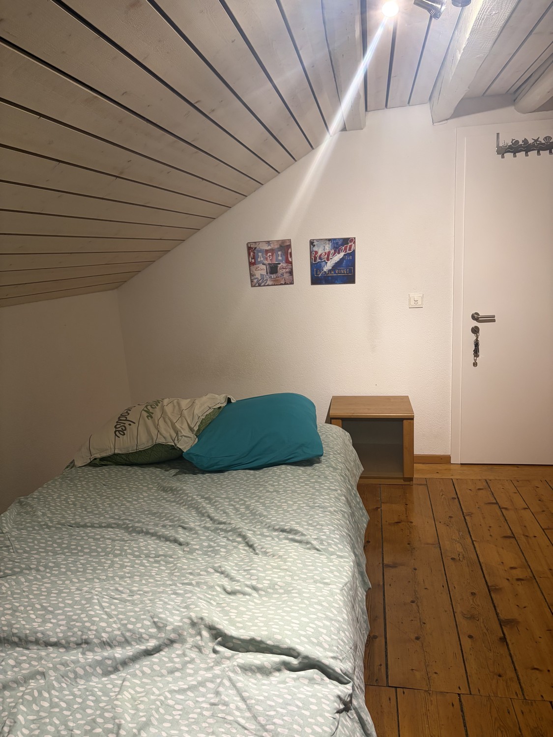 Room in a shared flat