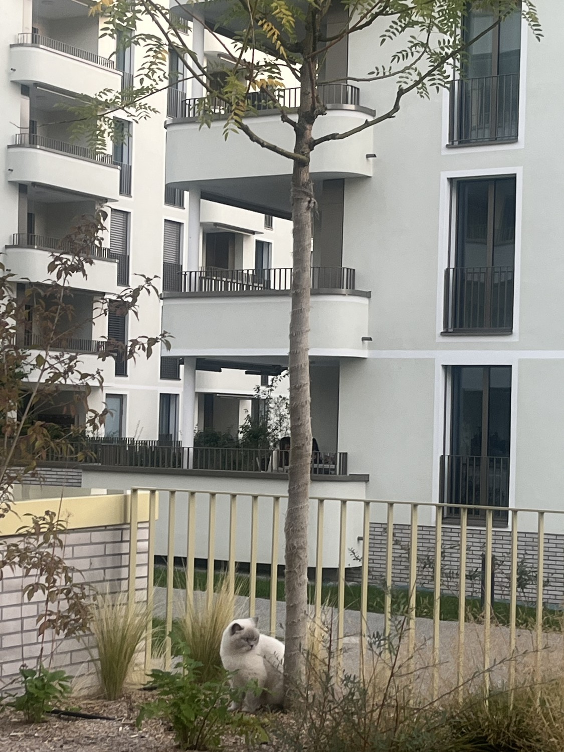 2 ½ Zimmer-Wohnung
