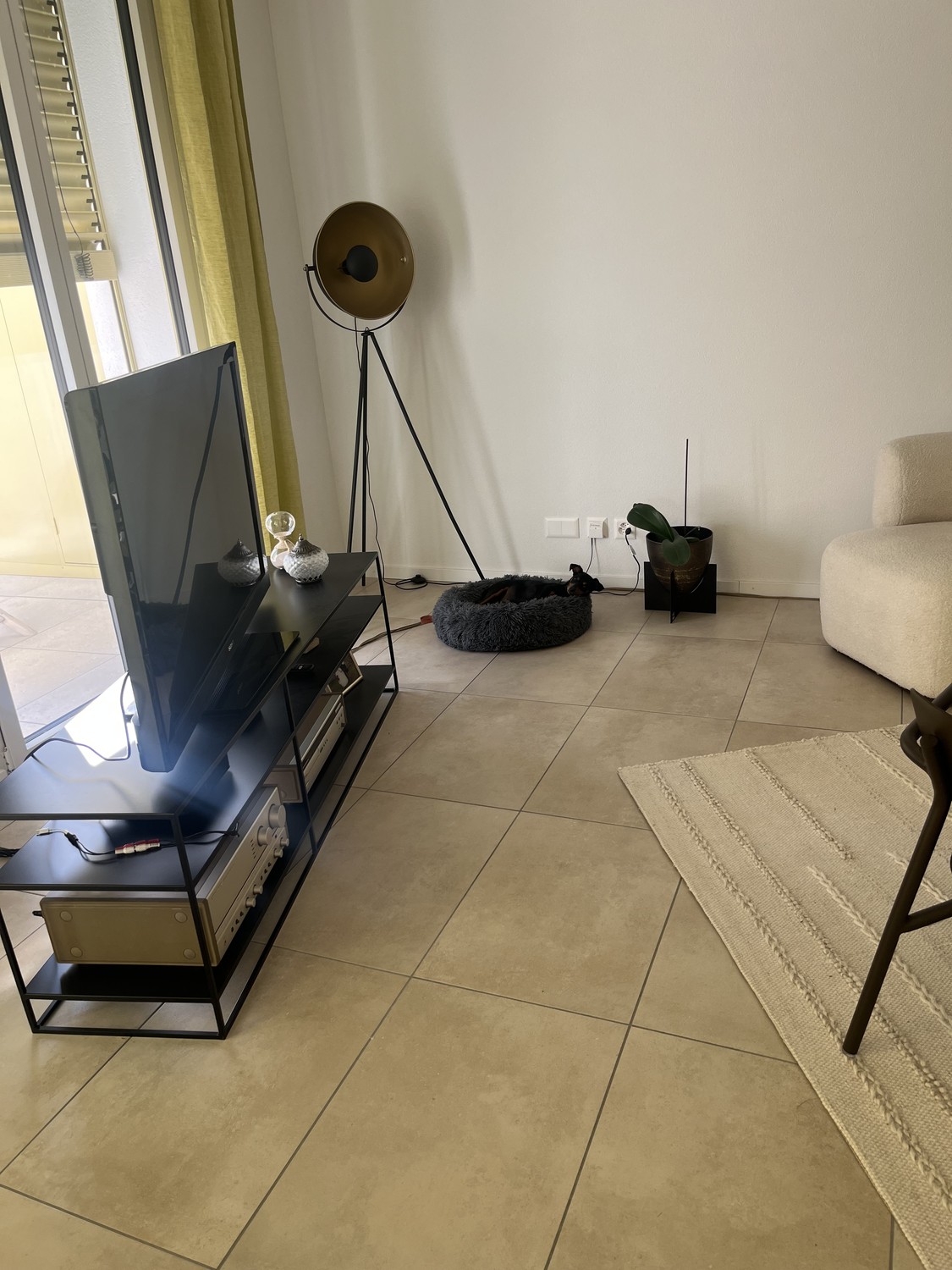 2 ½ Zimmer-Wohnung