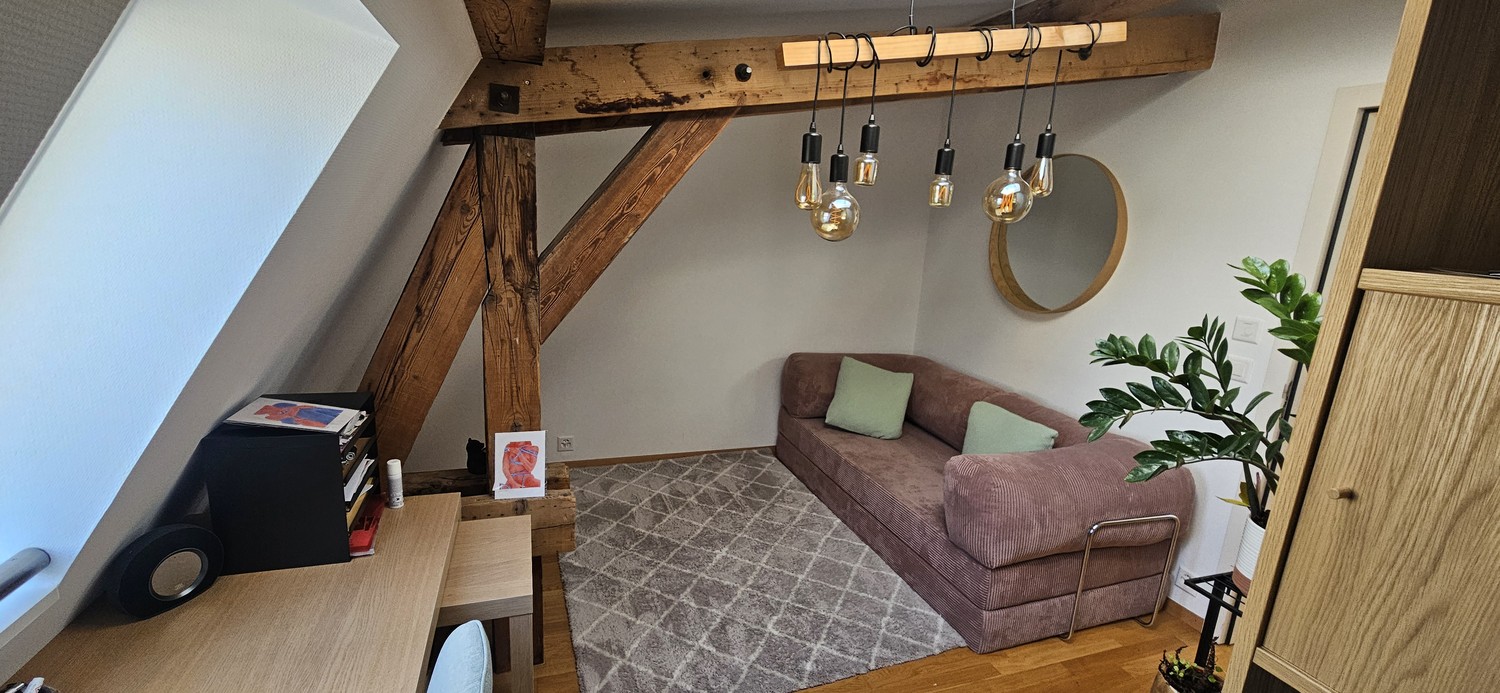 3 ½ Zimmer Wohnung