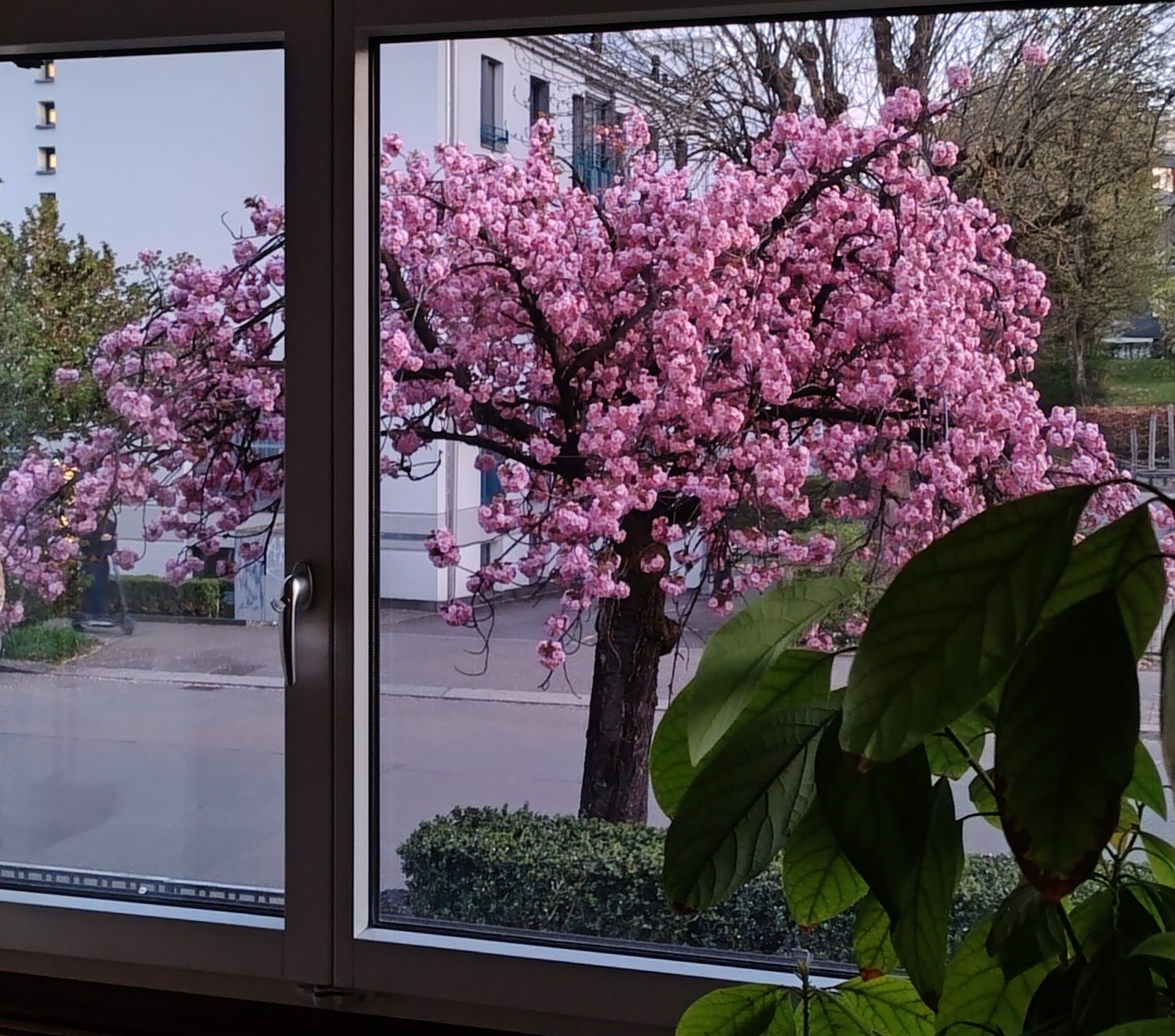 3 ½ Zimmer-Wohnung, Foto 3 von 9