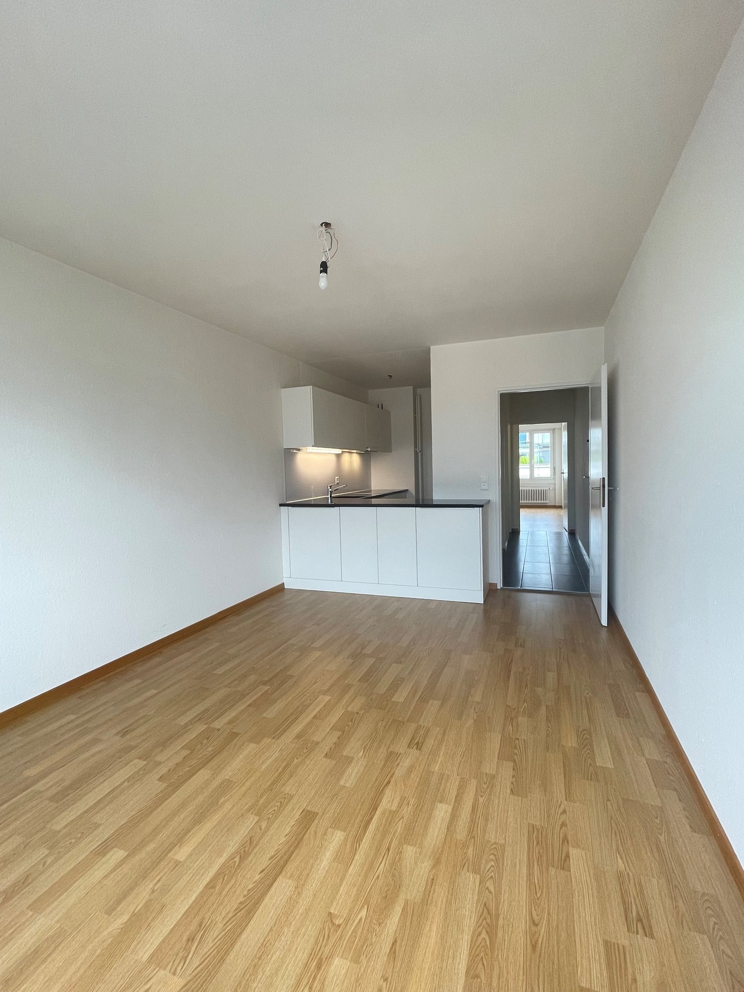 appartement 1 pièce