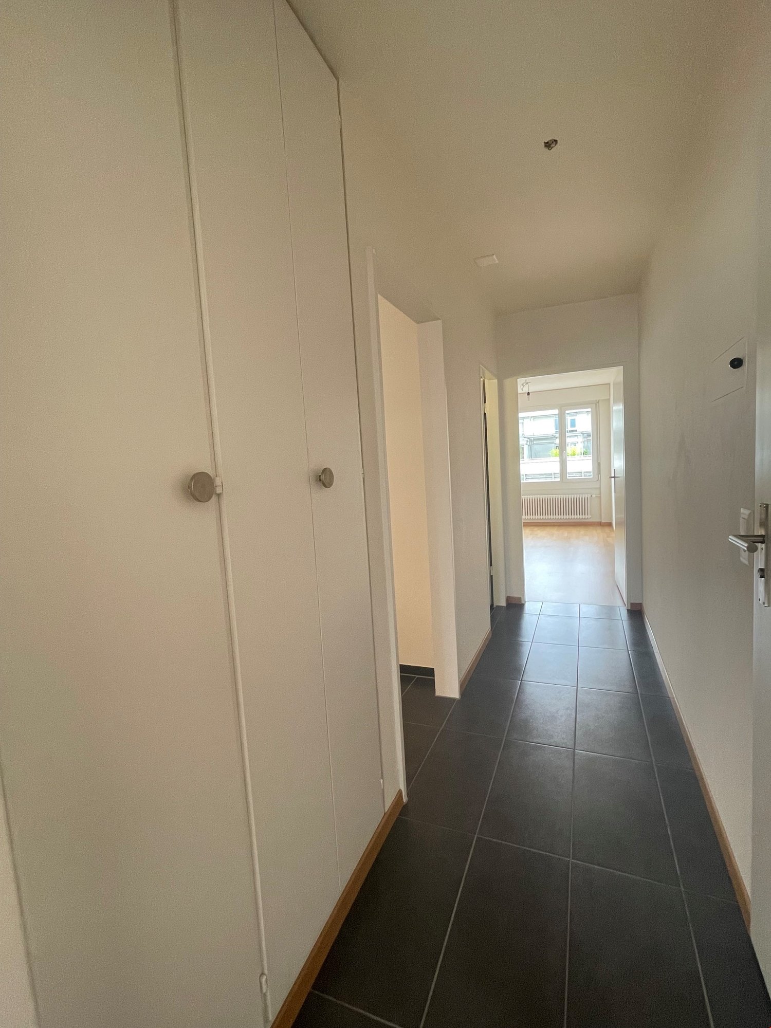 appartement 1 pièce