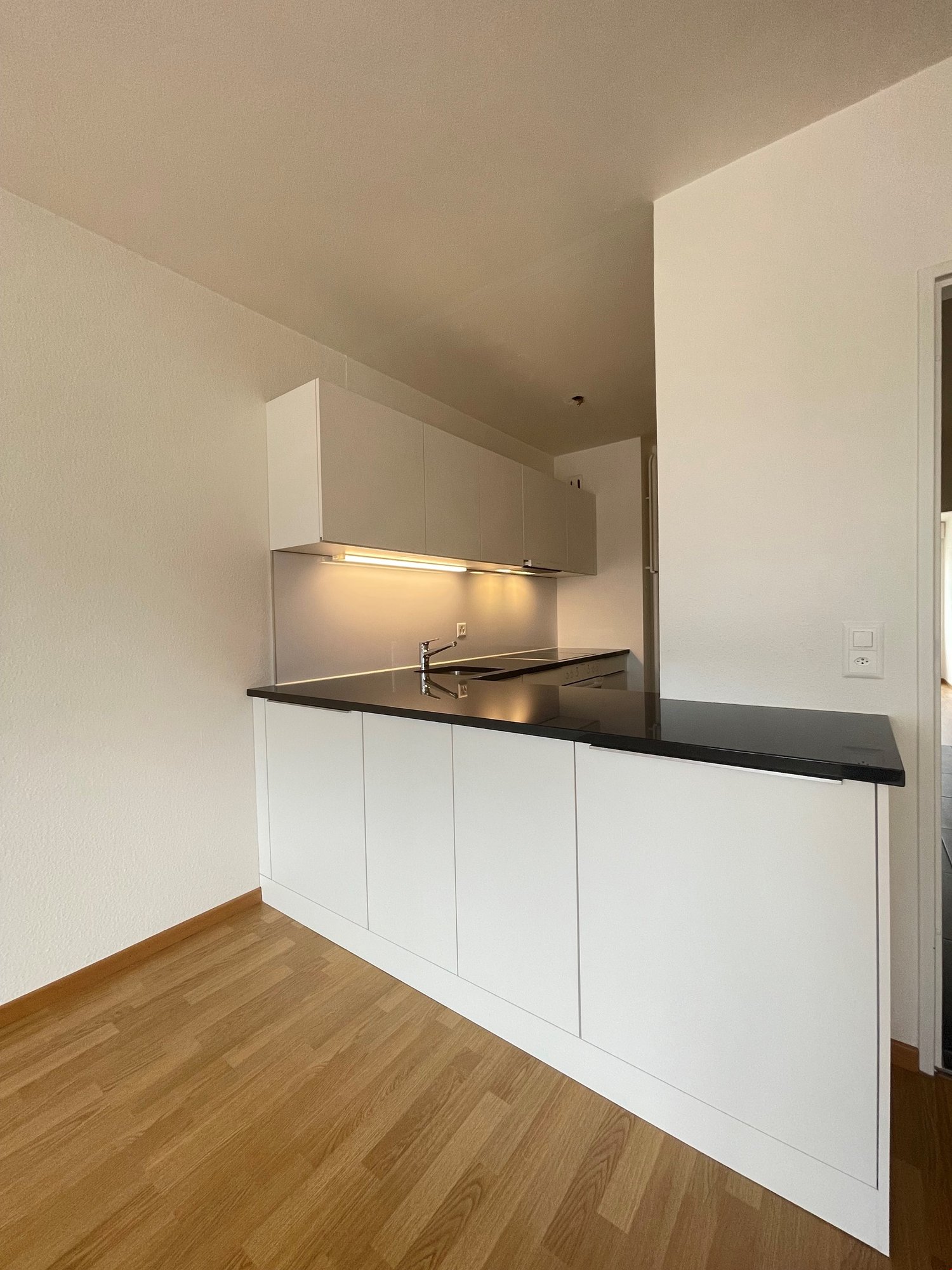 appartement 1 pièce