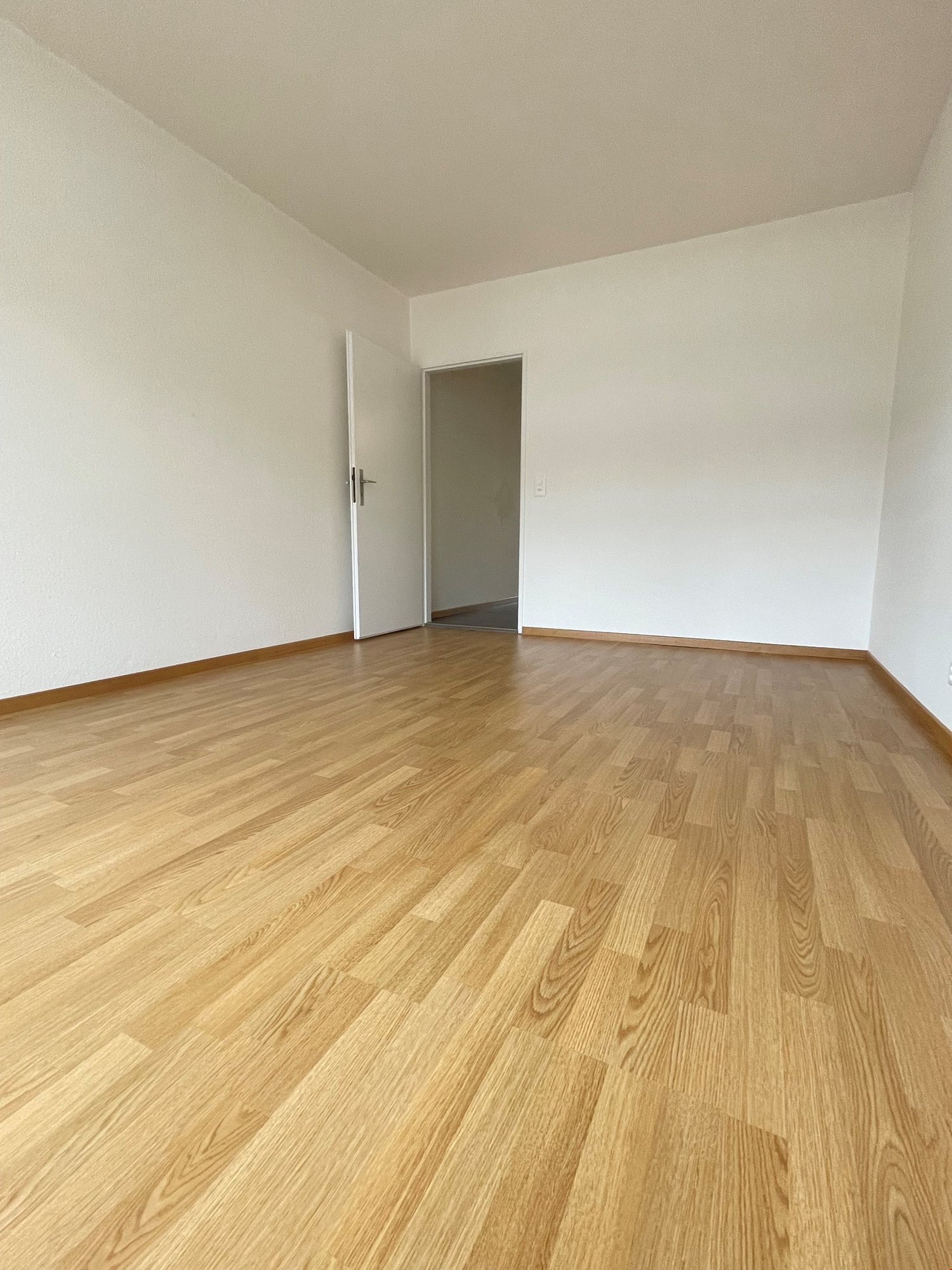 appartement 1 pièce