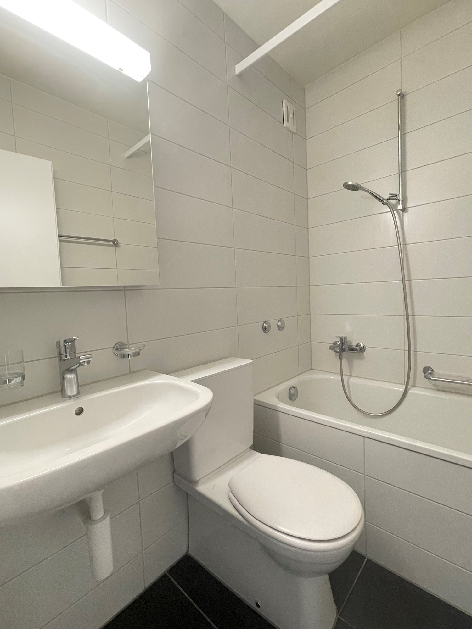 appartement 1 pièce