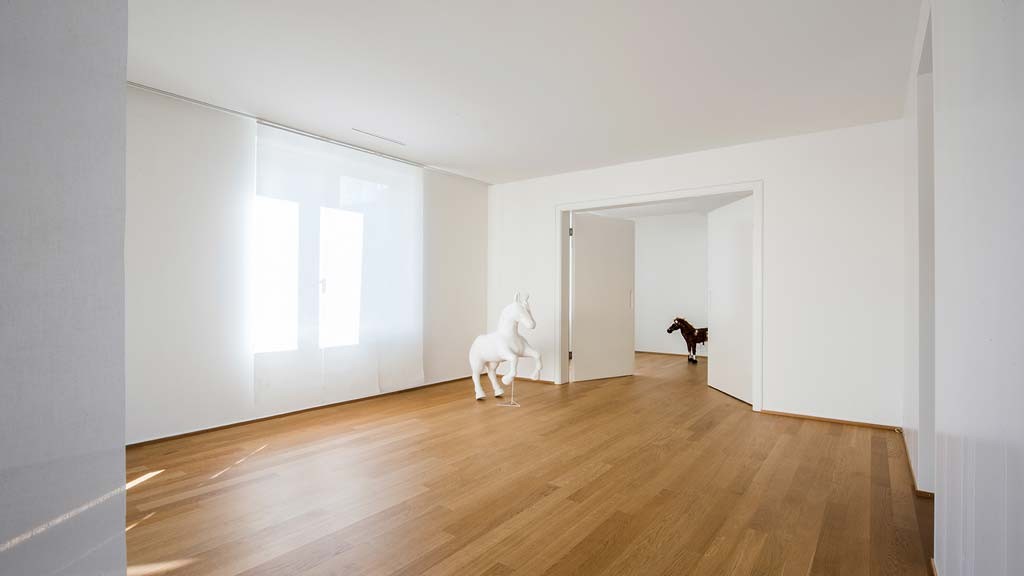 4 ½ rooms attic flat (3)