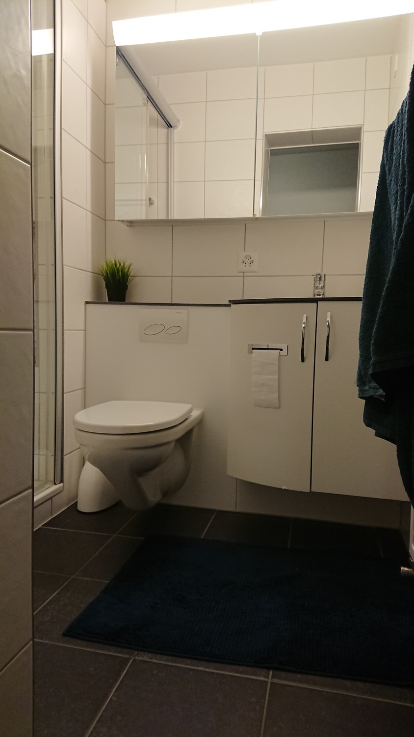 3 ½ rooms apartment, Foto 6 von 6