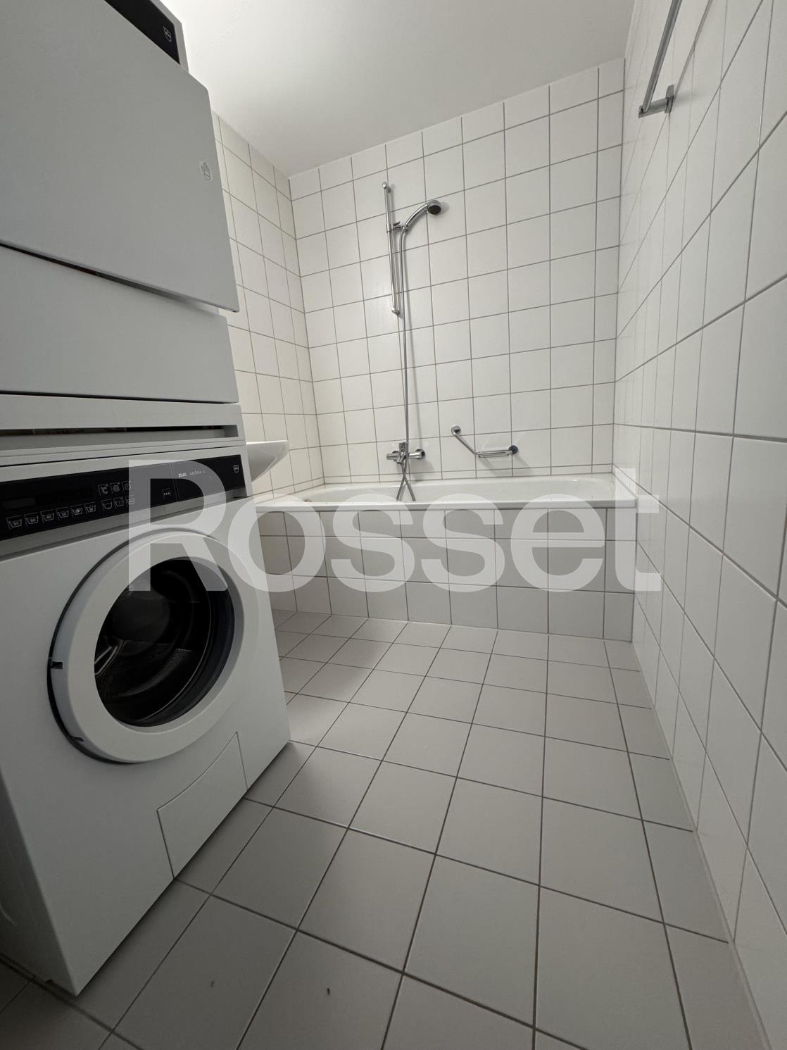 3 ½ Zimmer Wohnung