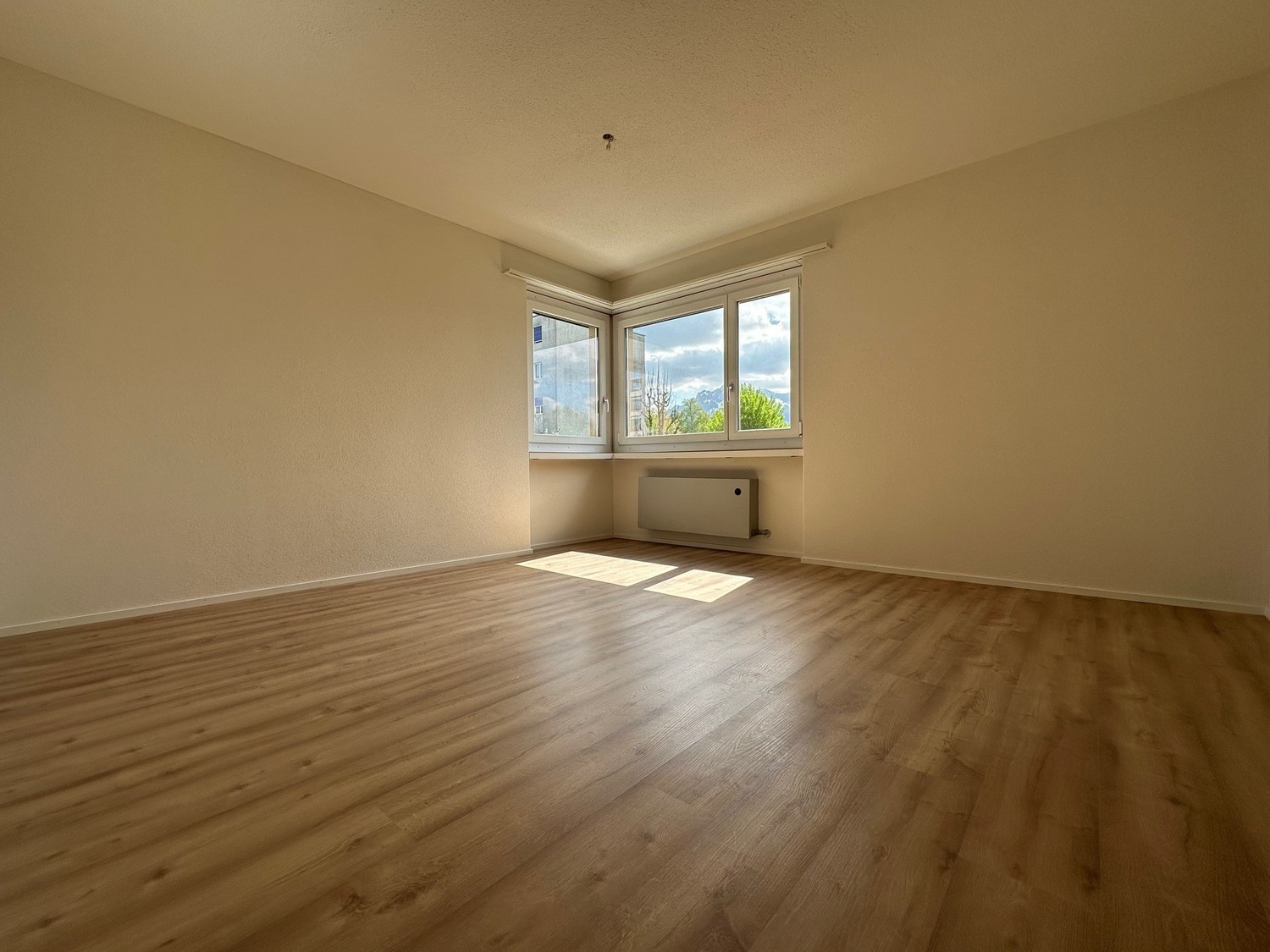 4 ½ rooms apartment, photo 9 of 10