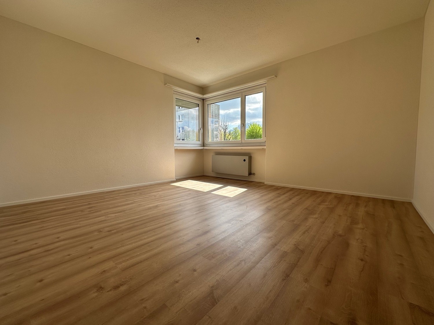 4 ½ rooms apartment, photo 3 of 10