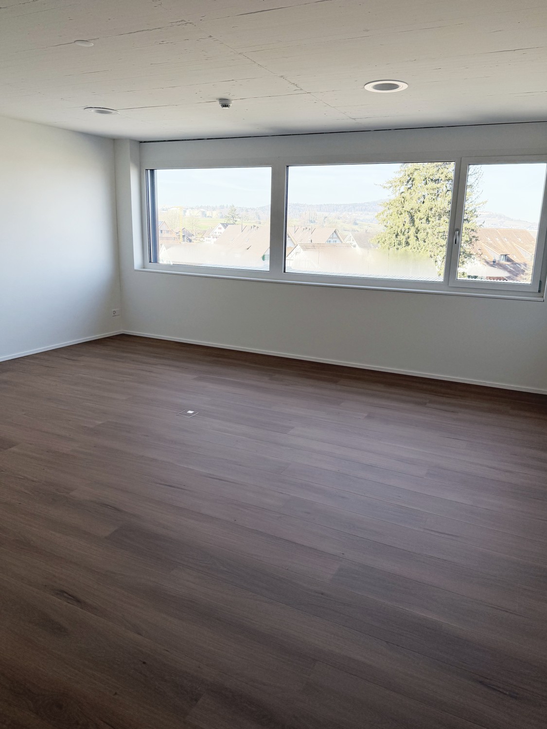 31m² office