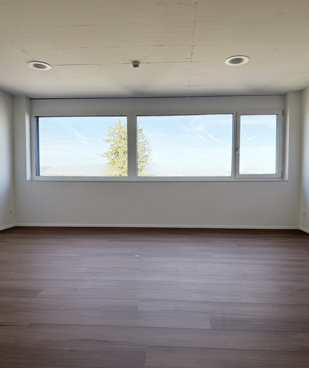 31m² office