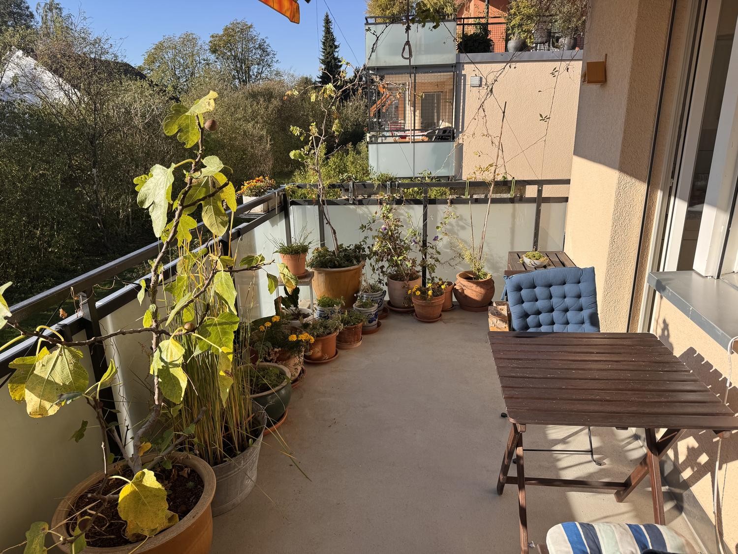 2 ½-Zimmer-Wohnung