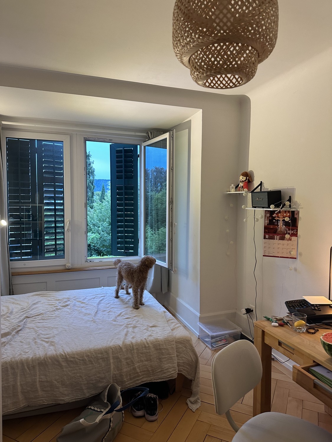 Zimmer in einer WG, Foto 9 von 10