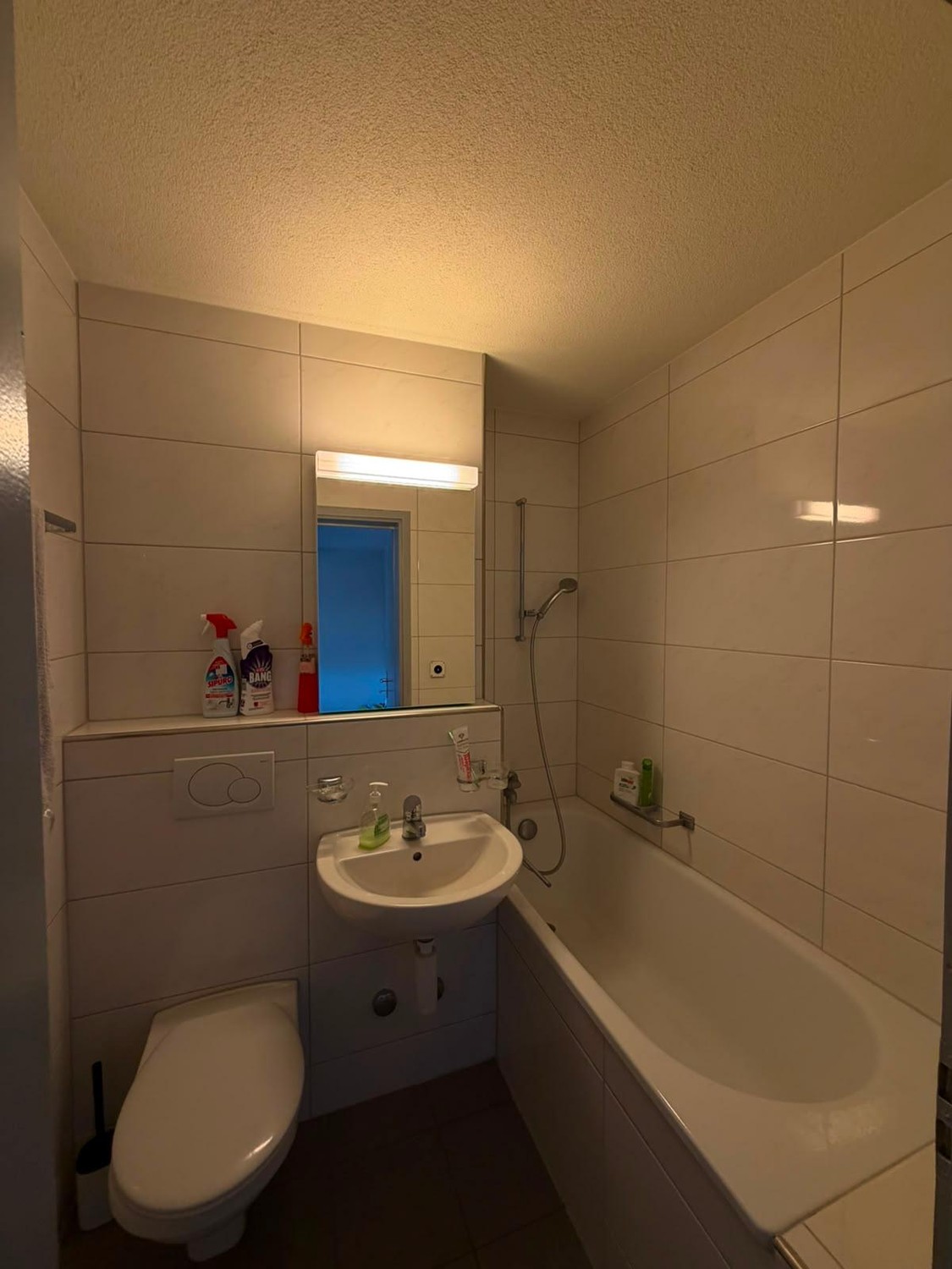 1 room apartment, Foto 4 von 4