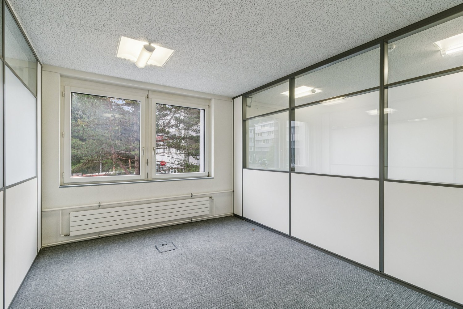 167m² office