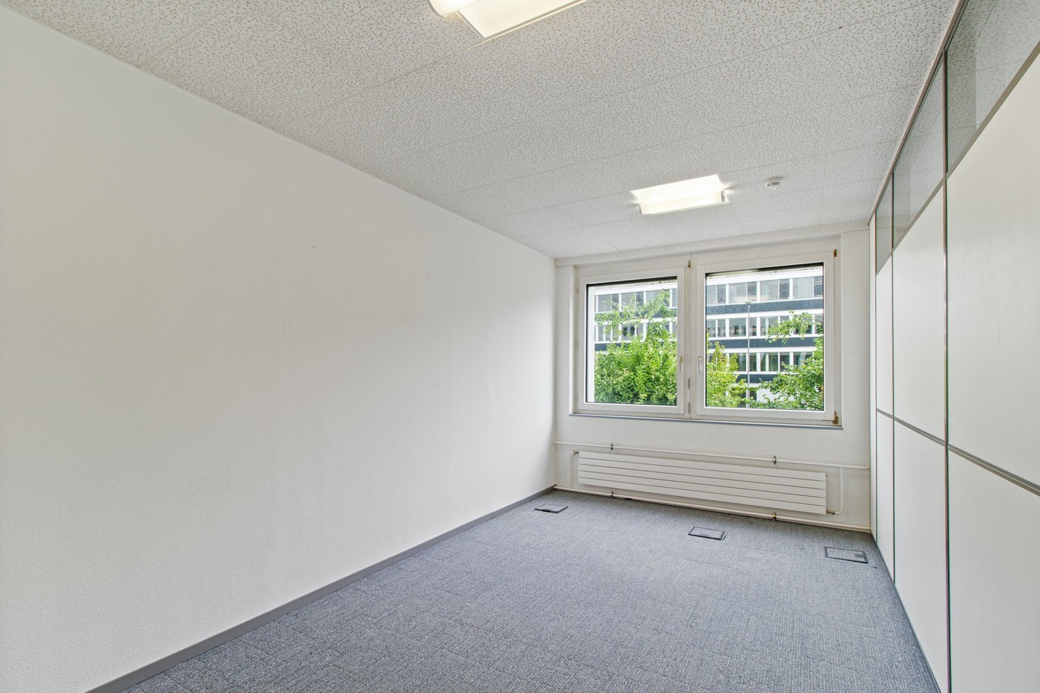 167m² office