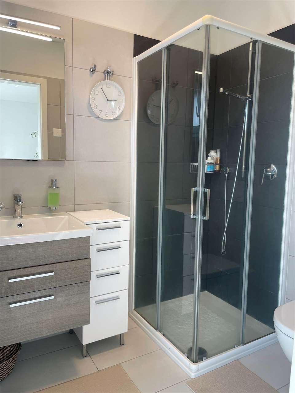 Appartement de 3 ½ pièces