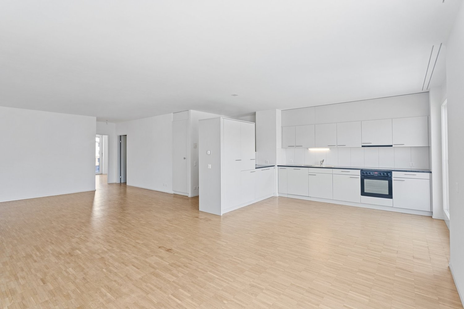 3 ½ rooms apartment (4)