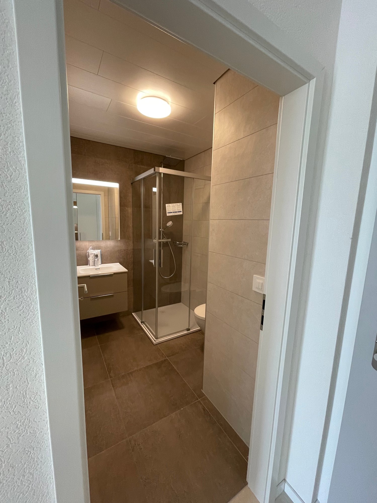 4 ½ Zimmer-Wohnung