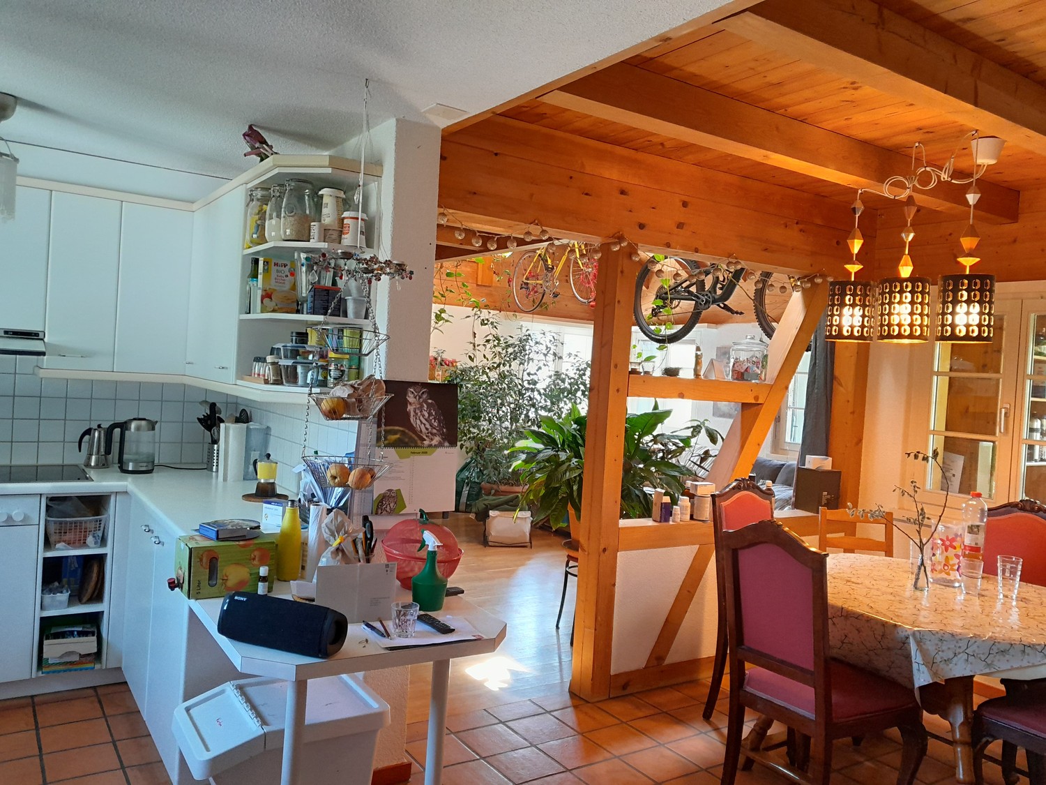 Room in a shared flat