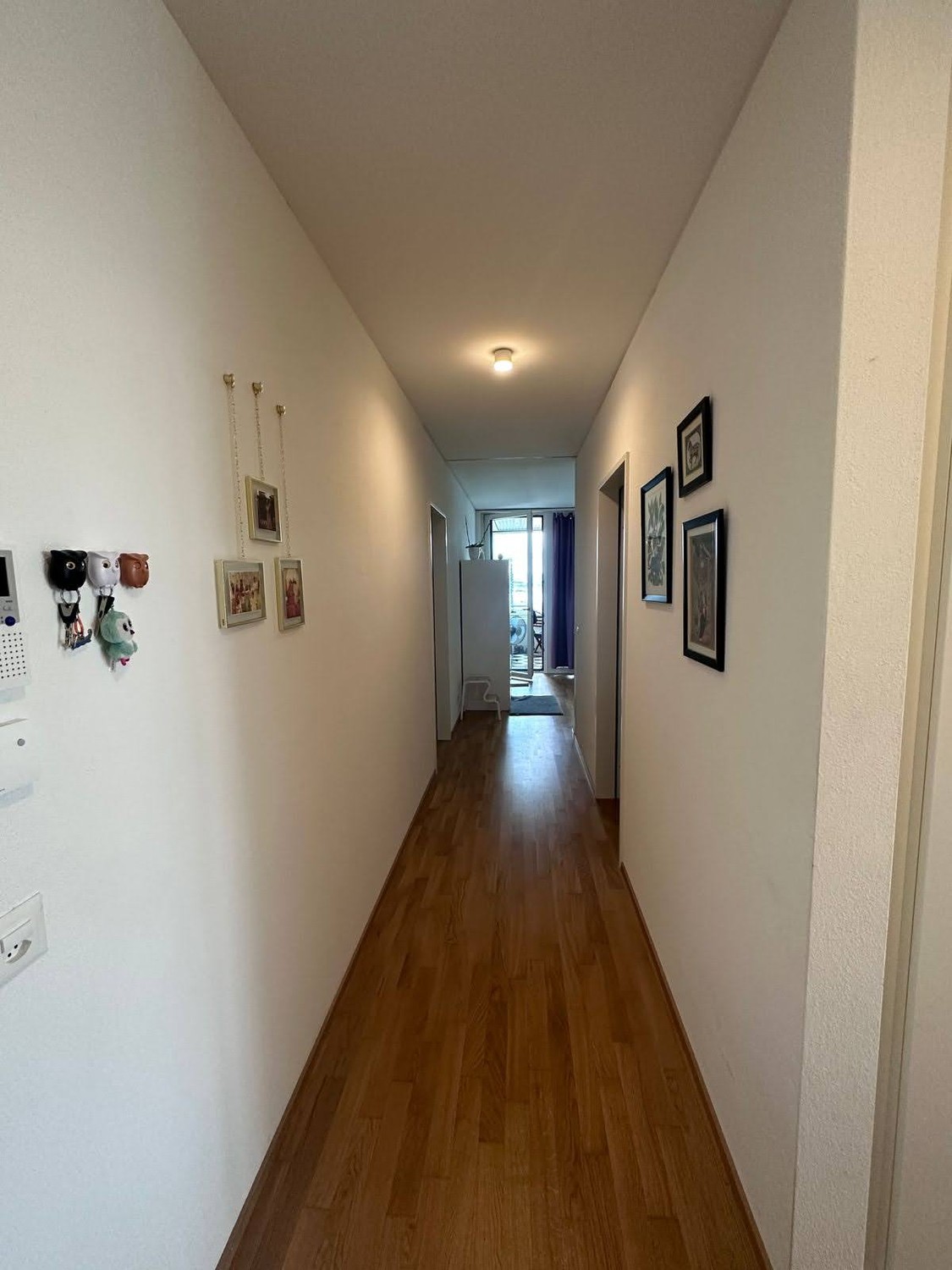 2 ½ Zimmer Wohnung