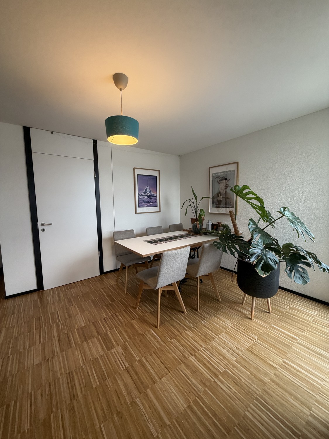 Room in a shared flat