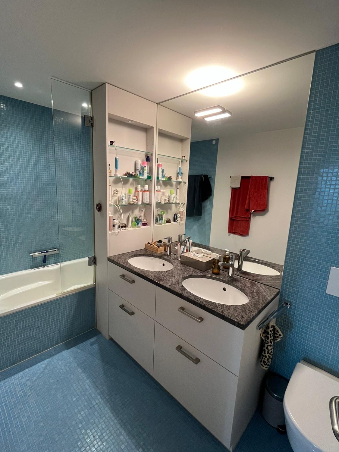Room in a shared flat