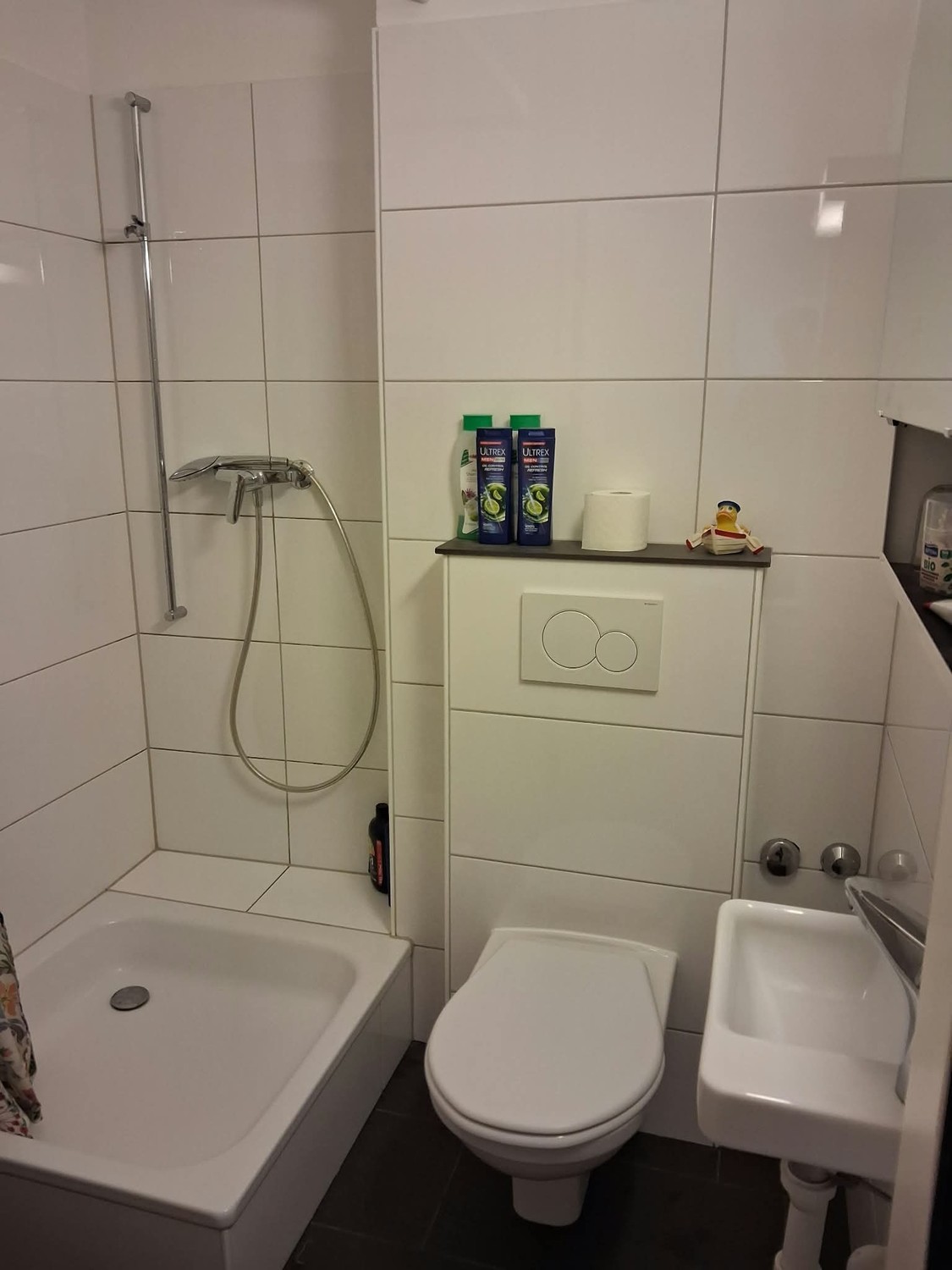 1-Zimmer-Apartment