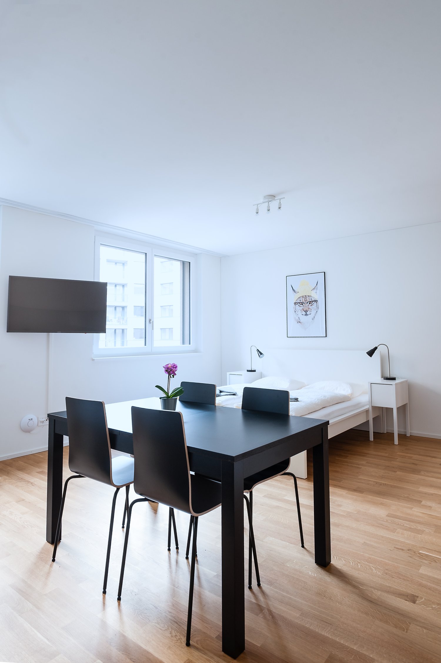 appartamento arredato di 1 ½ locali