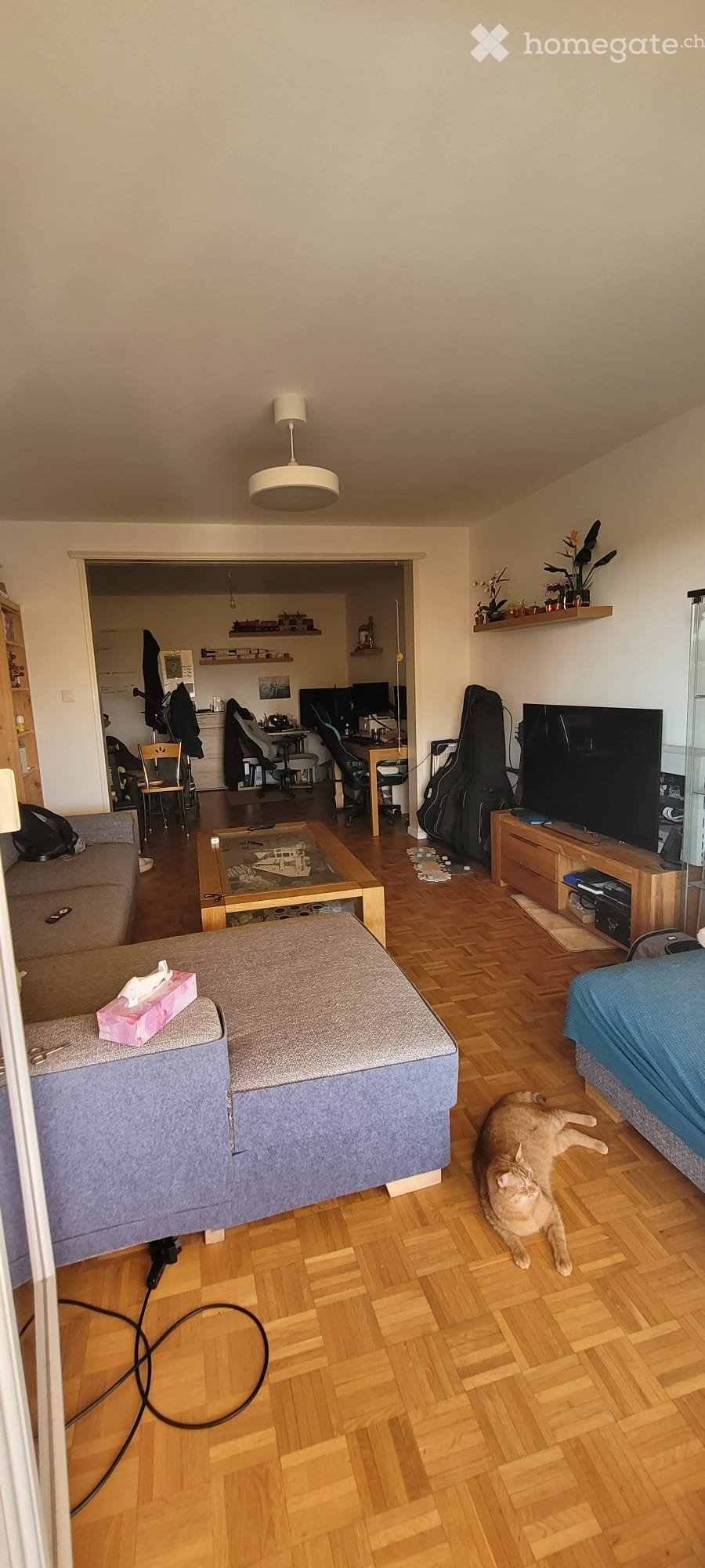 2 ½ rooms apartment