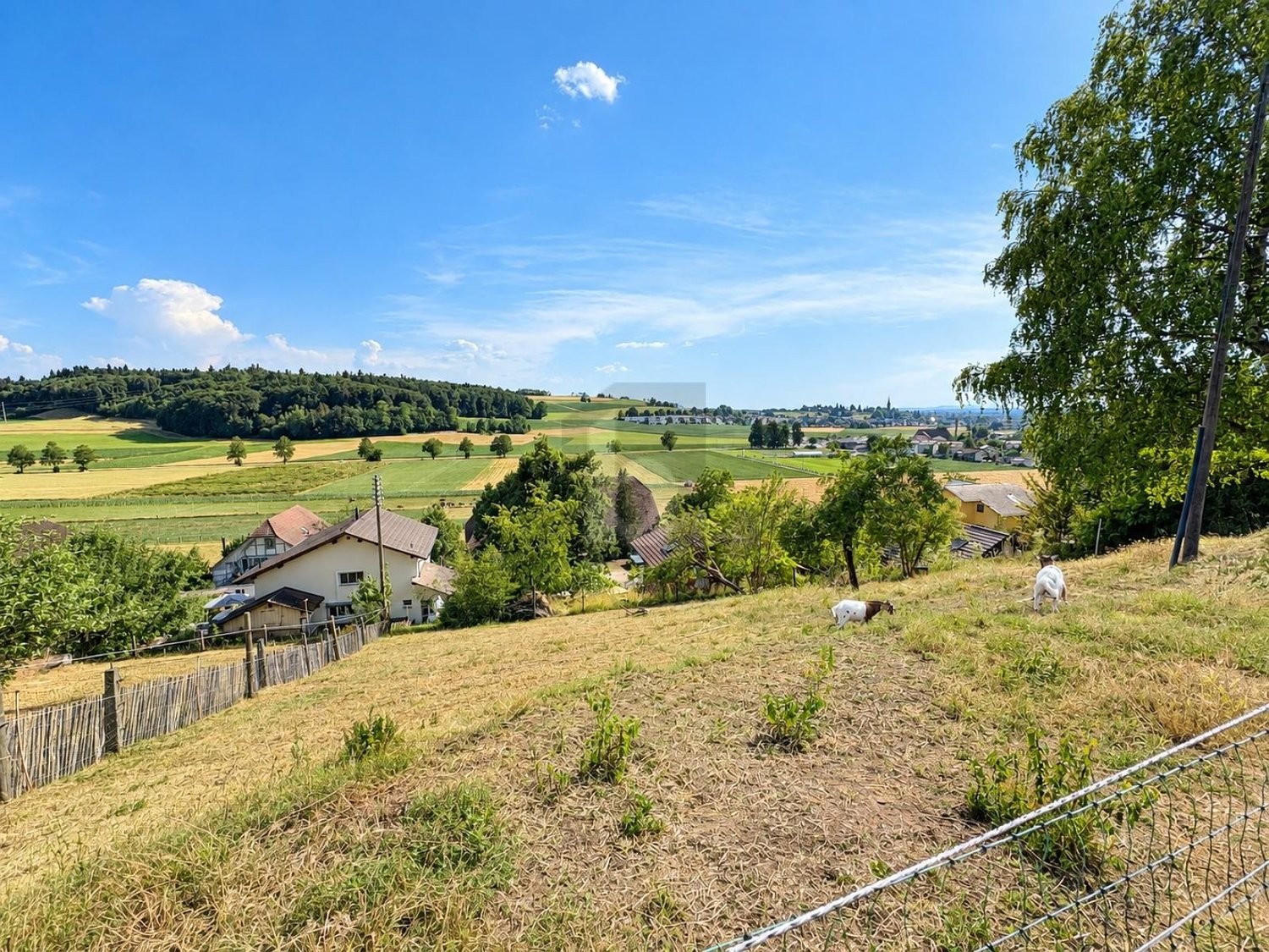 850m² building land