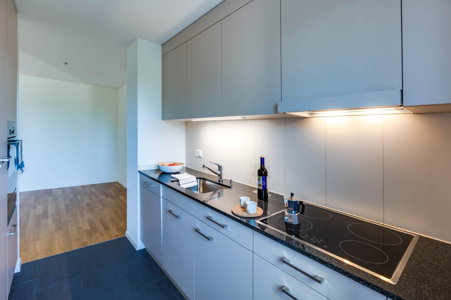 4 ½ rooms apartment