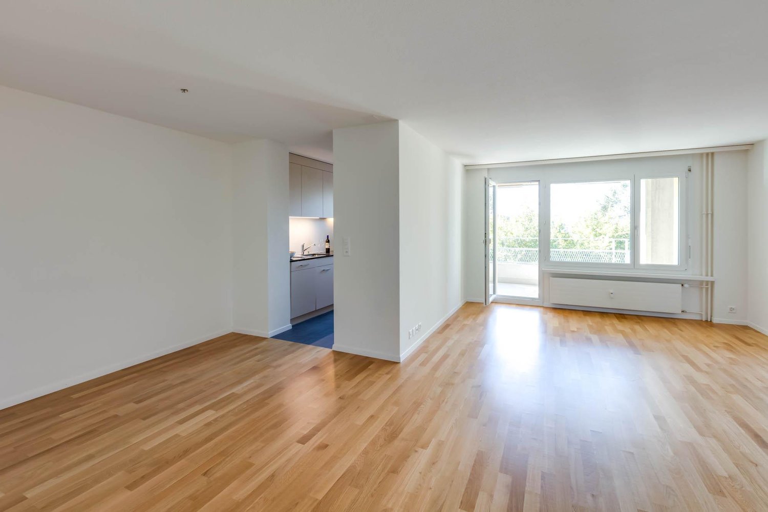 4 ½ rooms apartment