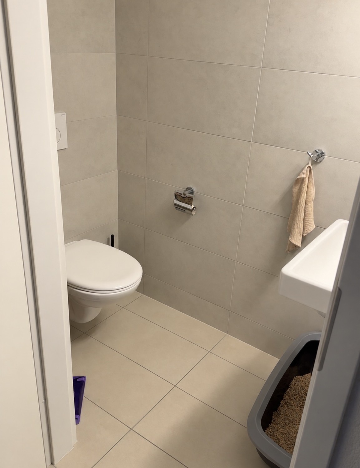 2 ½ Zimmer Wohnung, Foto 2 von 6