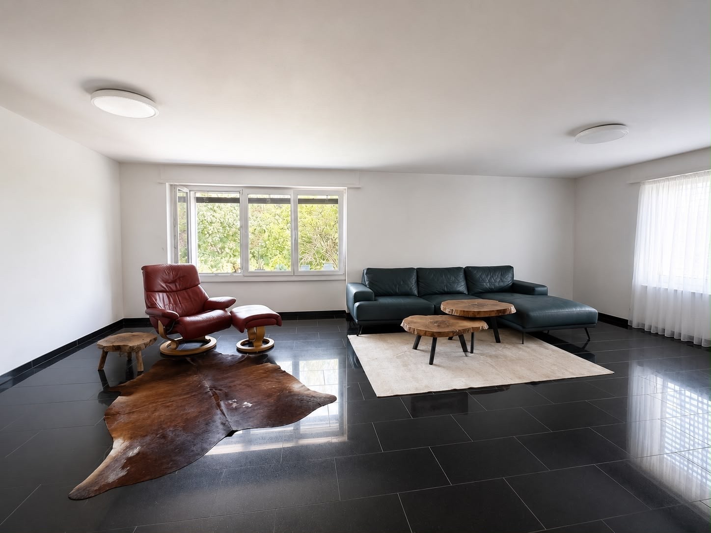 Appartement de 3 ½ pièces