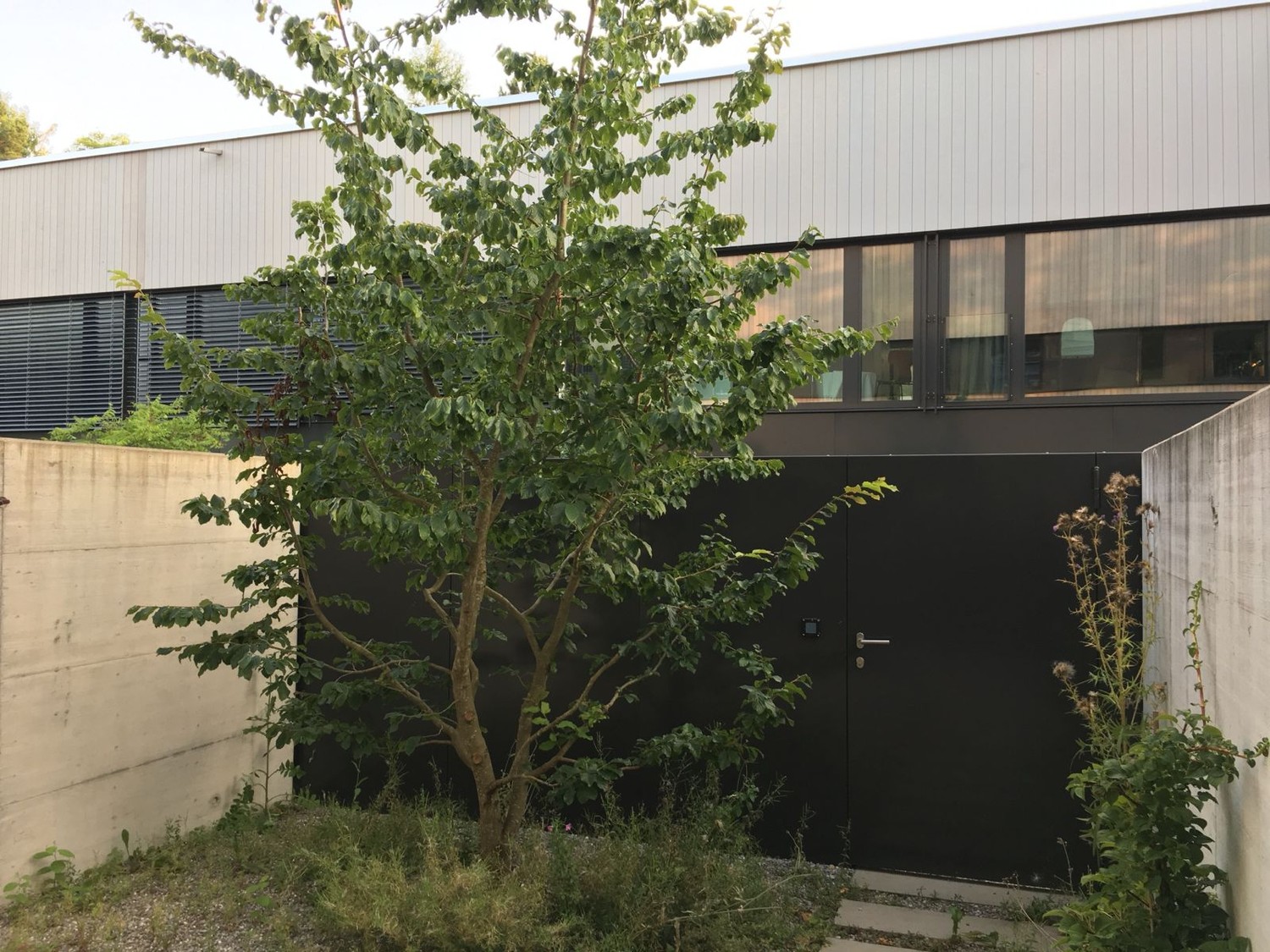 appartamento di 3 locali