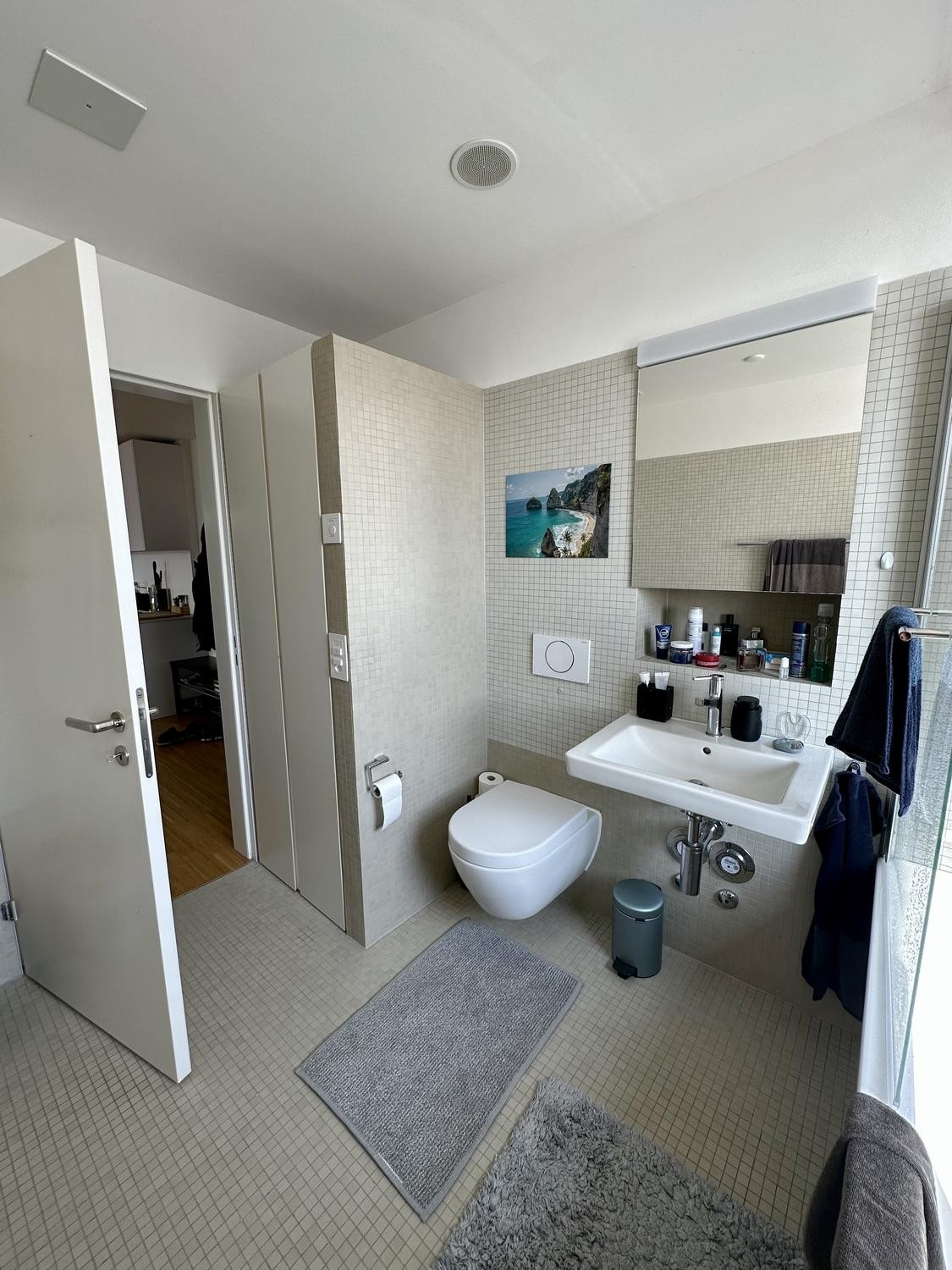 2 ½ Zimmer Wohnung, Foto 8 von 10