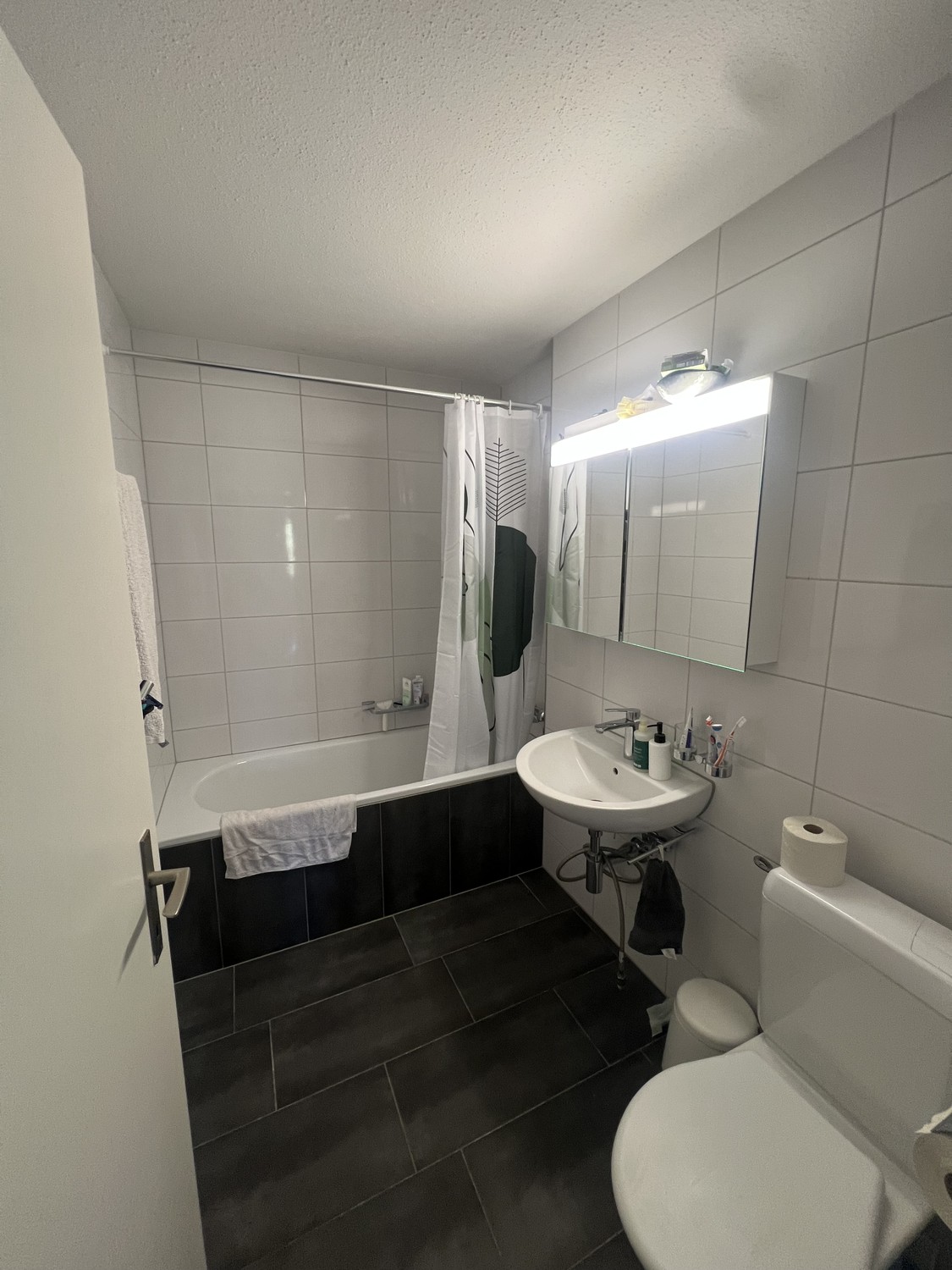 1 rooms apartment