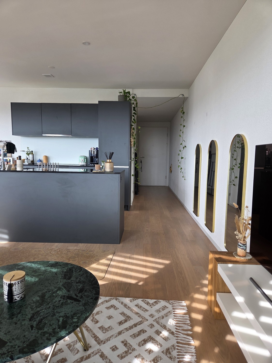 Appartement de 2 ½ pièces