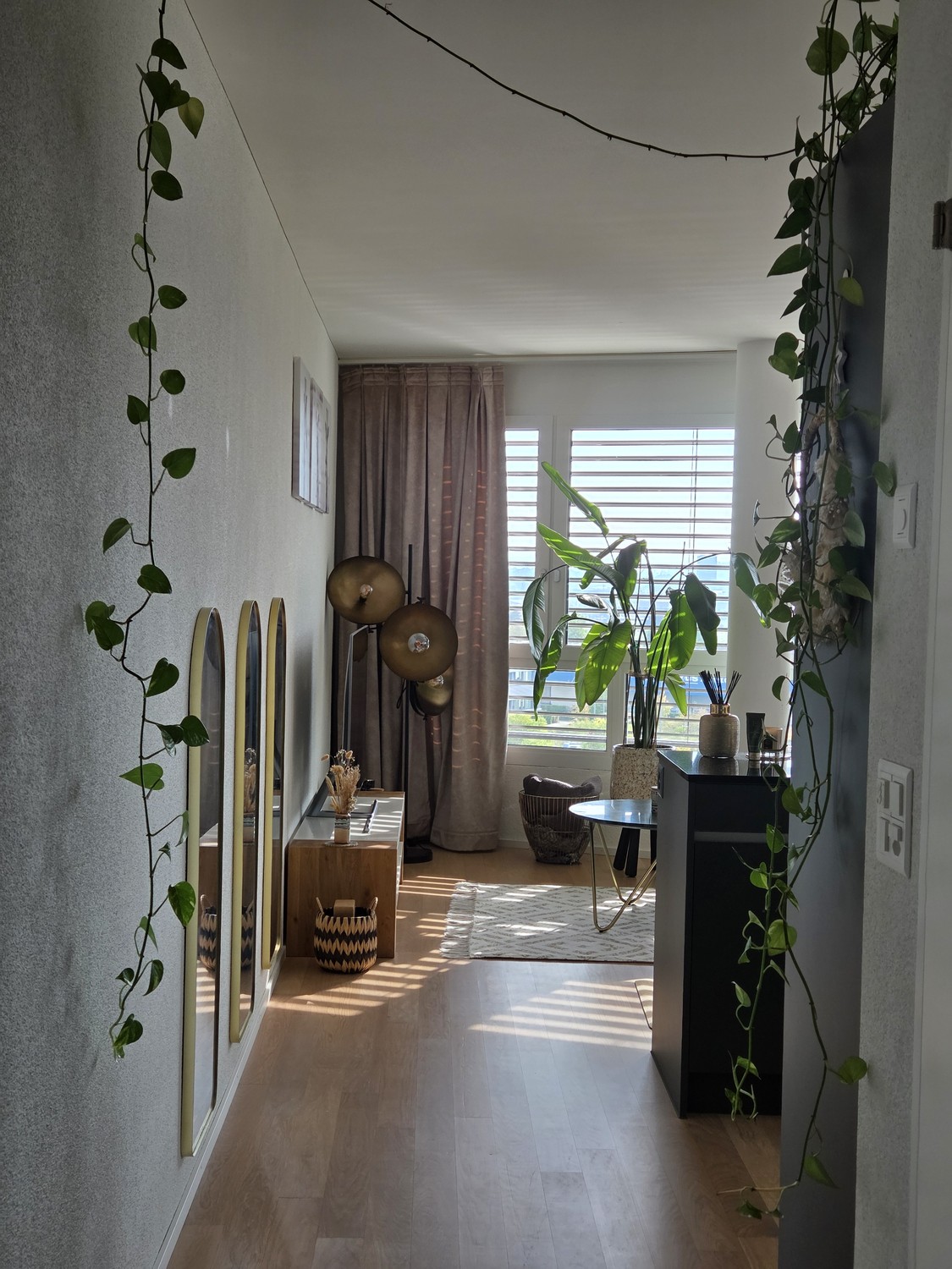 Appartement de 2 ½ pièces