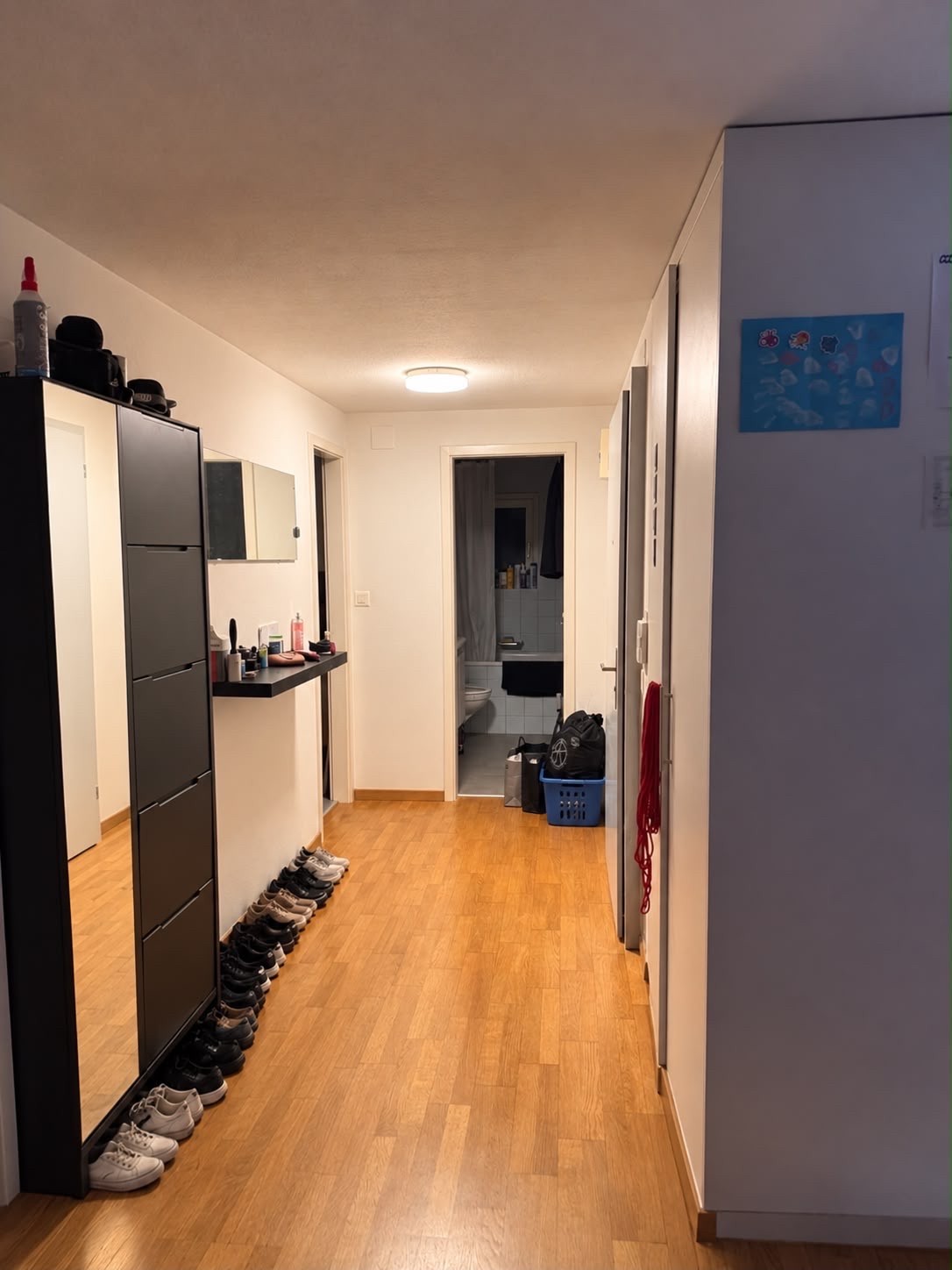 Appartement de 3 ½ pièces