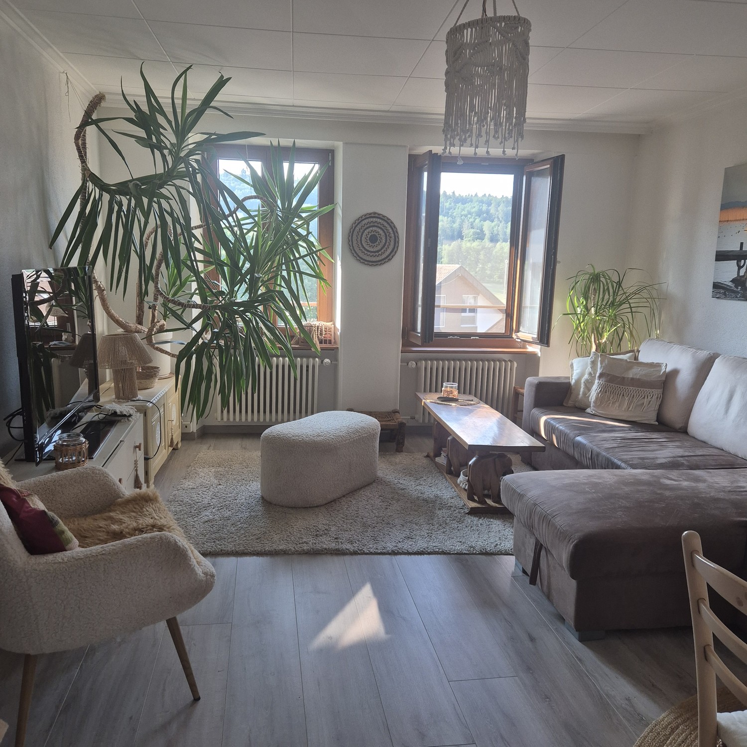3 ½ rooms apartment, photo 1 sur 8