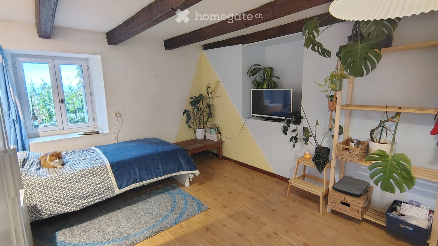 1 Zimmer Einzelzimmer, Foto 2 von 5