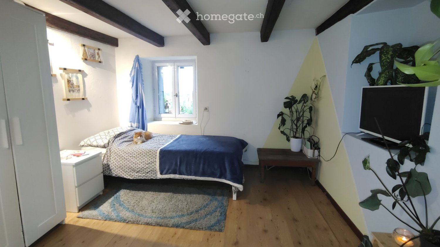 1 Zimmer Einzelzimmer, Foto 3 von 5